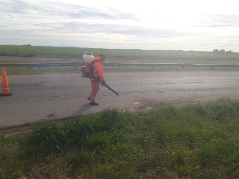 WhatsApp Image 2022-07-21 at 11.30.36 AM